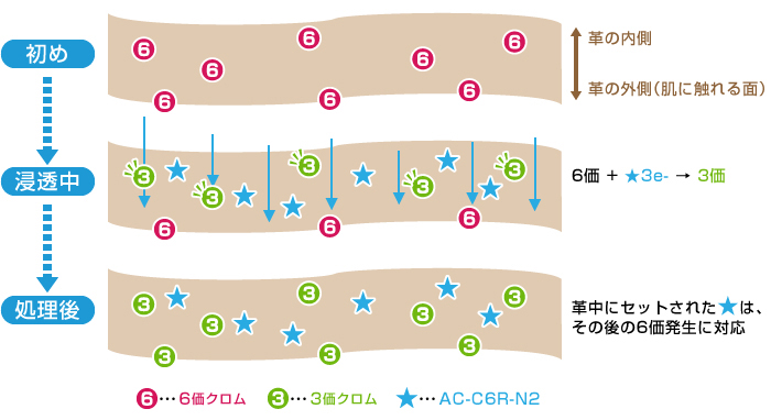 6価クロム除去剤GL-AO-C6R-N2シリーズ処理中の革の変化（イメージ）